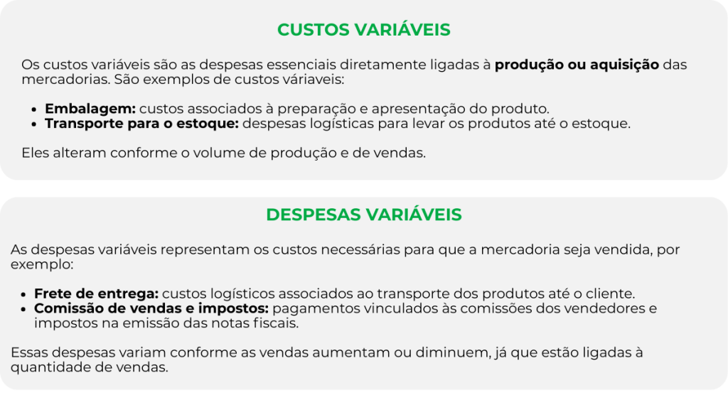 Imagem 02: Quadro explicativo custos e despesas variáveis