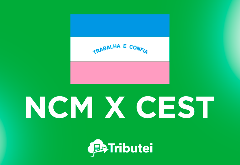 Bandeira do estado do Espírito Santo sobre um fundo verde. Texto branco 